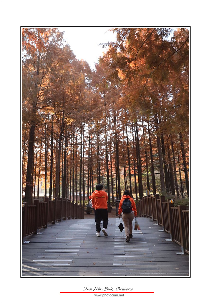 092A3974.jpg : 11월11일의 장태산