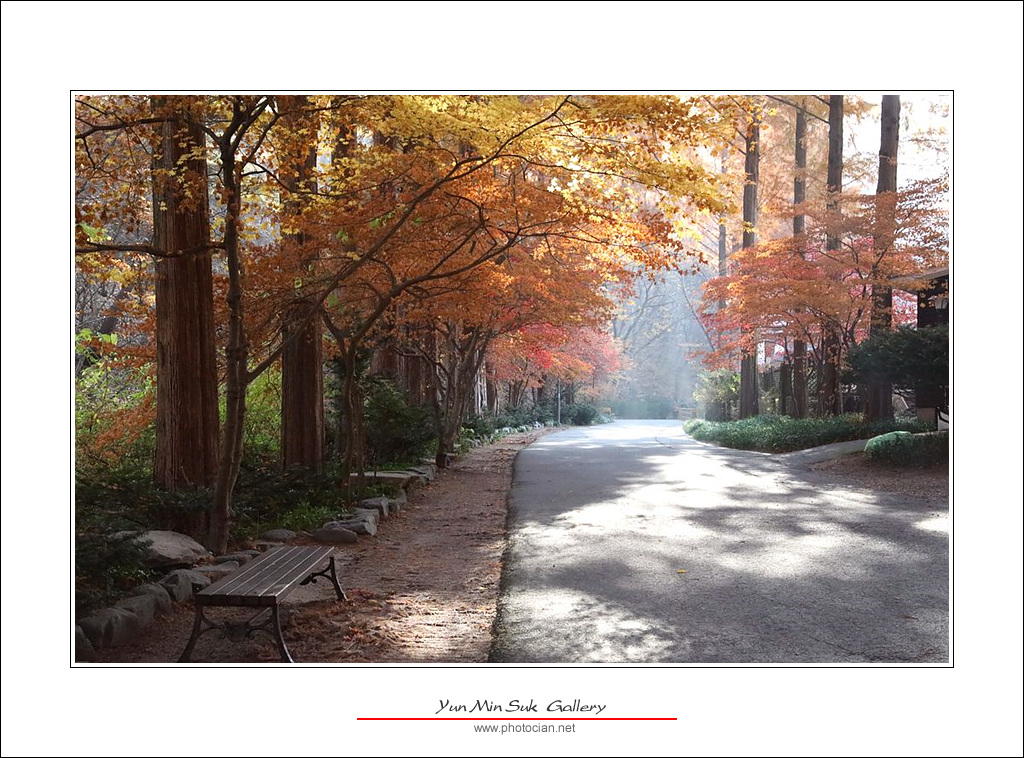 092A3998.jpg : 11월11일의 장태산