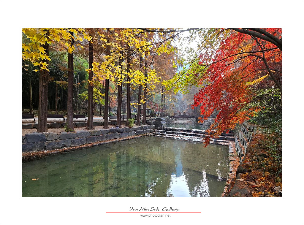 20241121_090723.jpg : 장태산의 가을