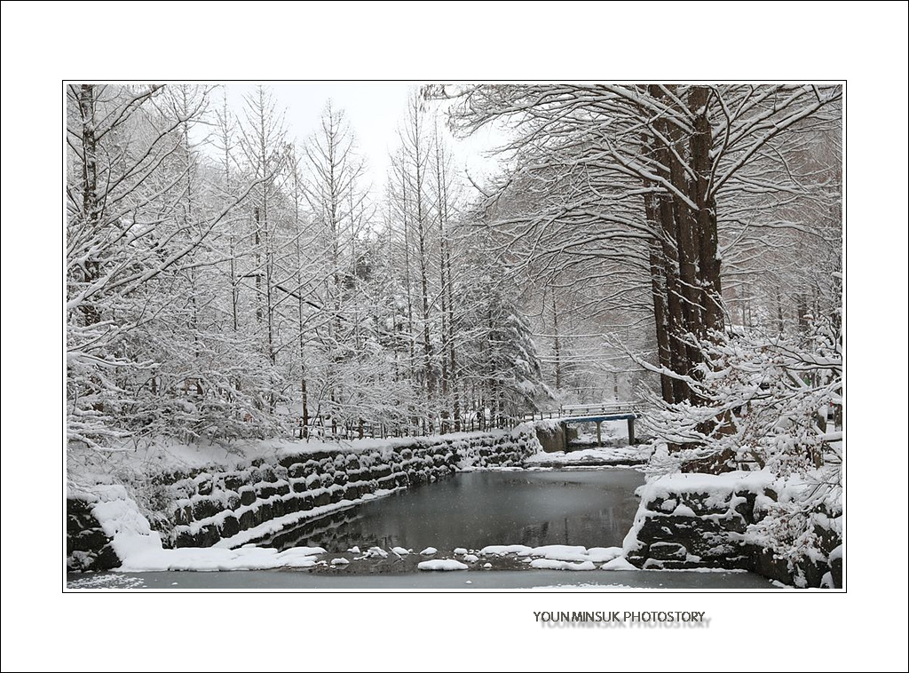 092A5680.jpg : 눈 쌓인 장태산