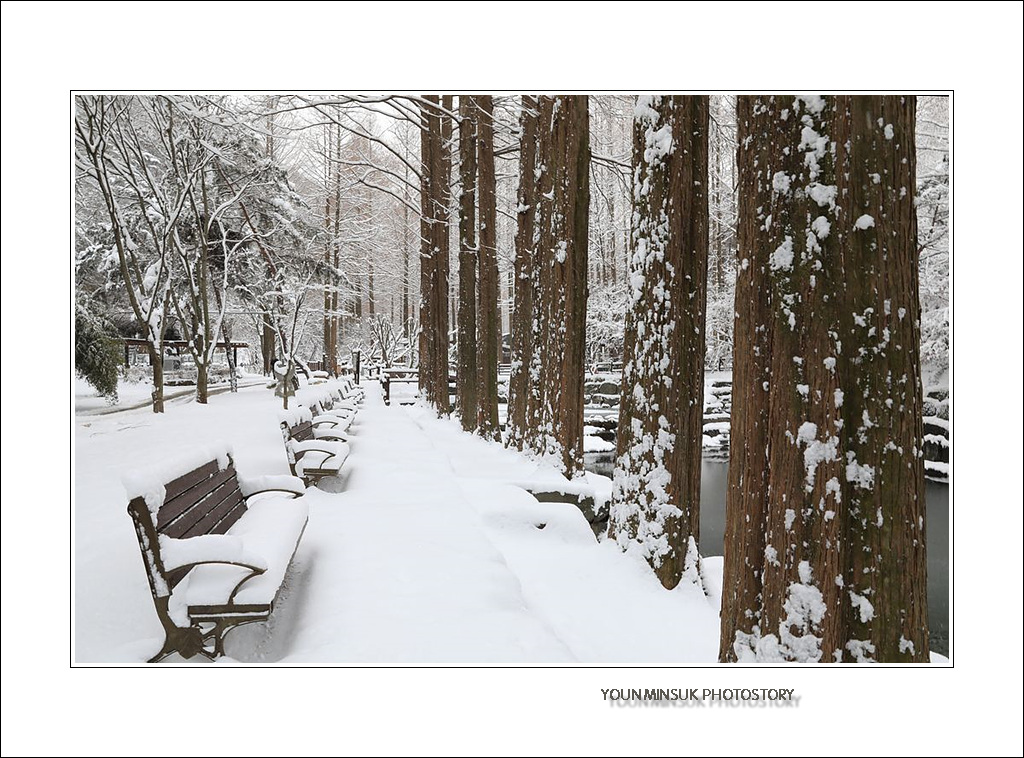 092A5645.jpg : 눈 쌓인 장태산