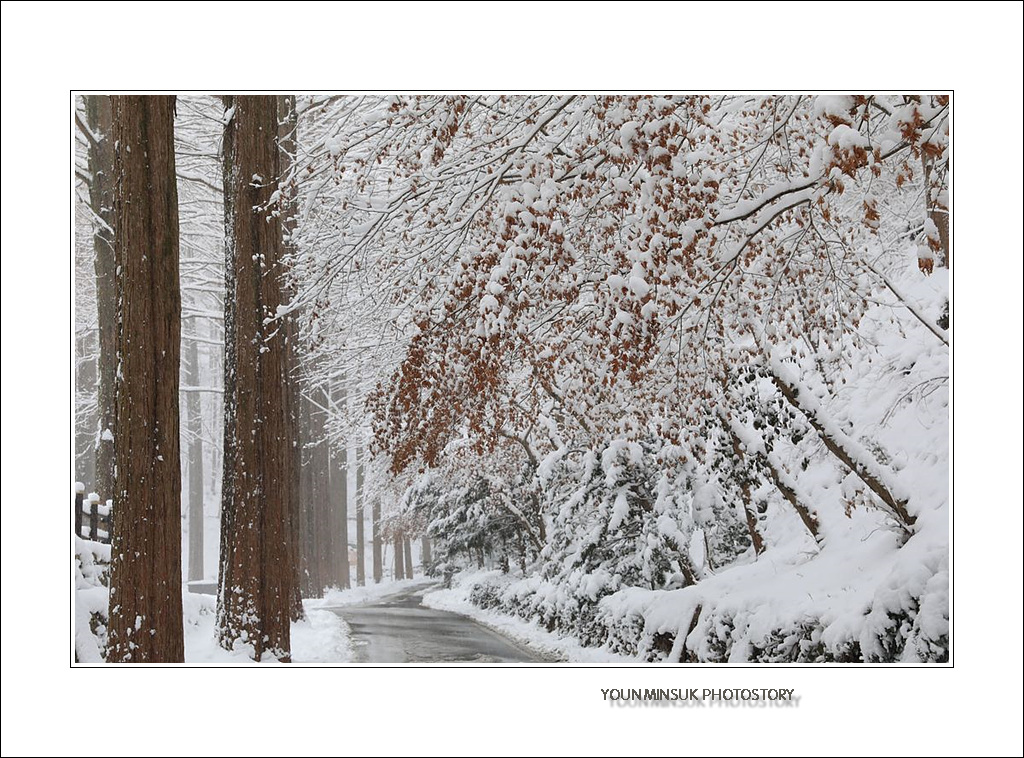 092A5885.jpg : 눈 쌓인 장태산