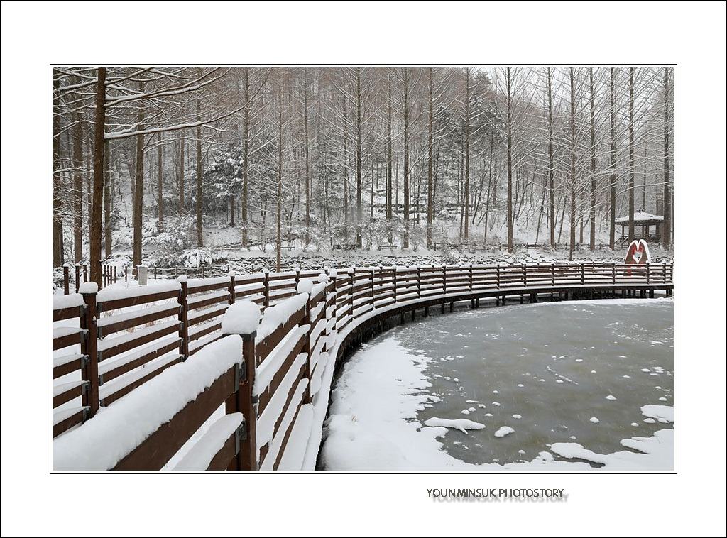 092A5790.jpg : 눈 쌓인 장태산