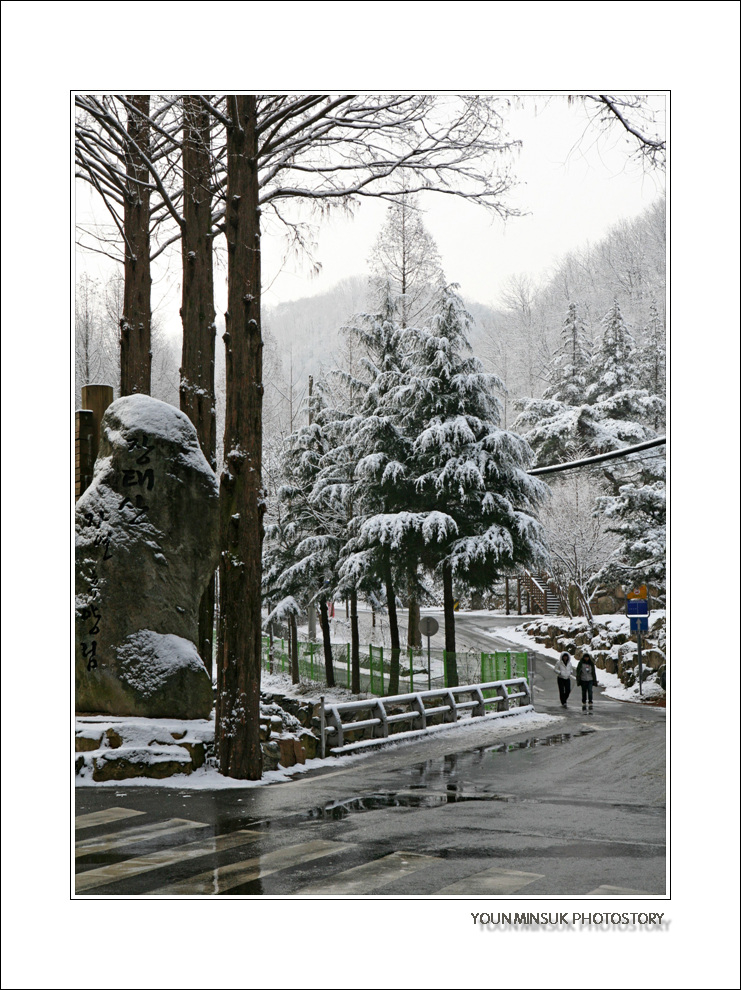 장태산 개인전 020.jpg : 장태산의 겨울